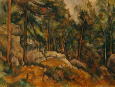 Forest Interior by Paul Cézanne